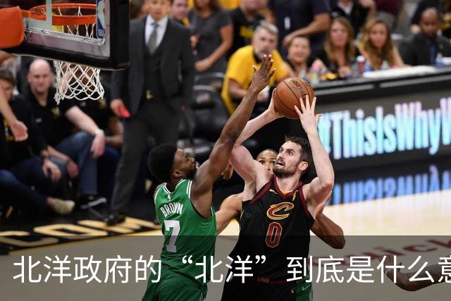 北洋政府的“北洋”到底是什么意思？不是北方洋人的意思